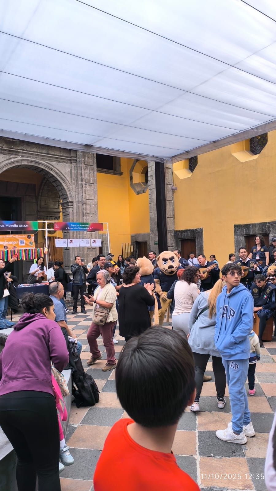 Synapsia – activity 4