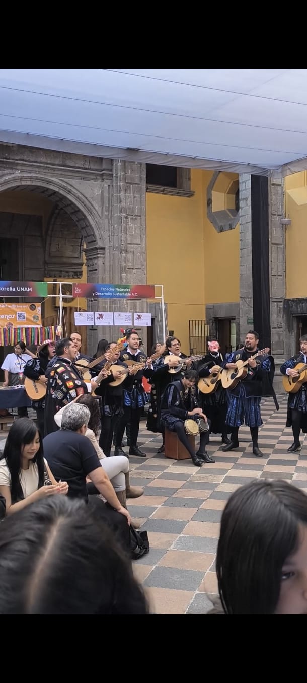 Synapsia – activity 7